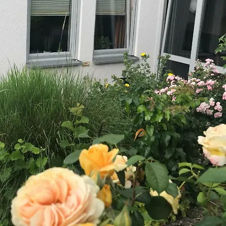 Ernst-ludwig-promenade Apartment Bensheim