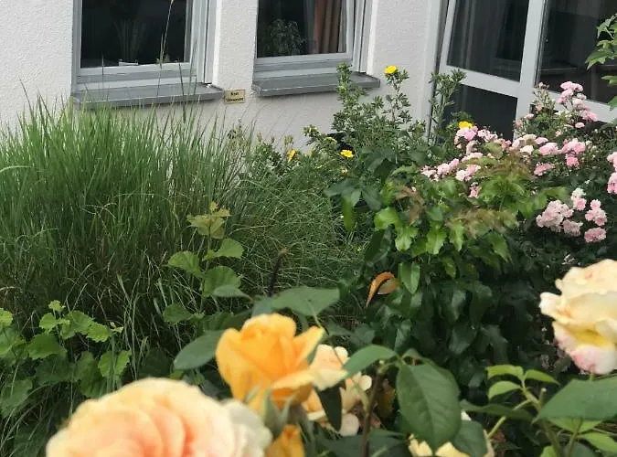 Ernst-ludwig-promenade Apartment Bensheim